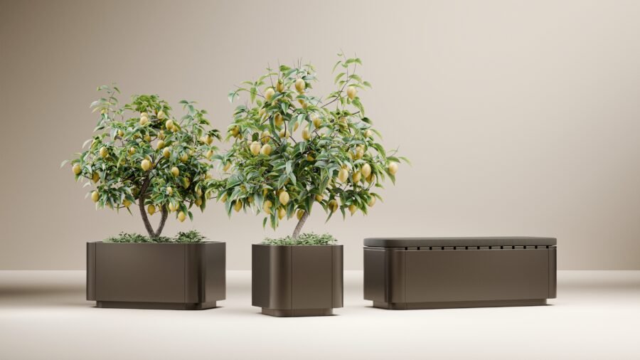 Two stainless steel Ascento Planter Boxes with lemon trees flanking a stainless steel Ascento Bench in a landscaped outdoor area.